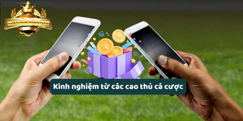 Kinh ngiệm từ cá cao thủ cá cược đua xe nhatvip