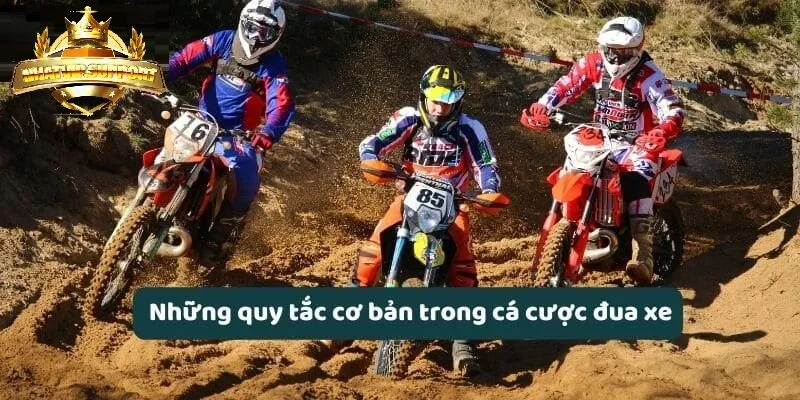 Những quy tắc cơ bản trong cá cược đua xe nhatvip